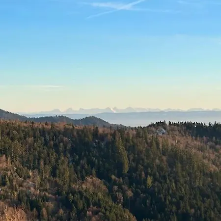 Dom wakacyjny La Fermette Des Vallons - Jacuzzi - Billard
